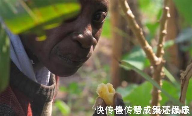 男子|非洲一男子长相似猴子,不吃饭只吃香蕉,常被人当动物欺负