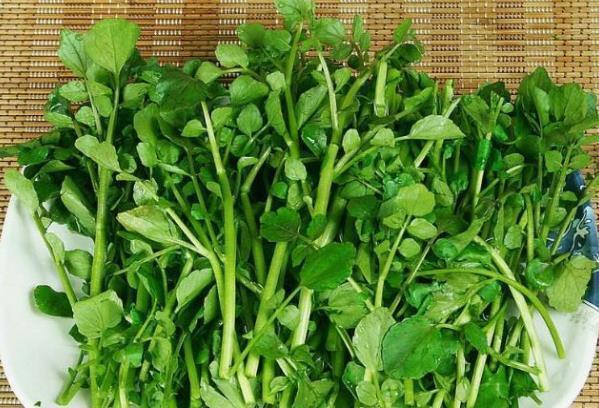 异硫氰酸盐|此菜是“妇女之友”,常吃清肺润肺、排肺毒,预防乳腺癌和痛经