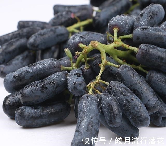 好吃|家里有阳台院子,这种果实别嫌弃,又好看又好吃,你见过吗!