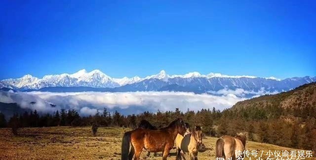 云海|川西又新出一观景平台，不逊色于牛背山，烤鸡、腊肉味道更是一绝