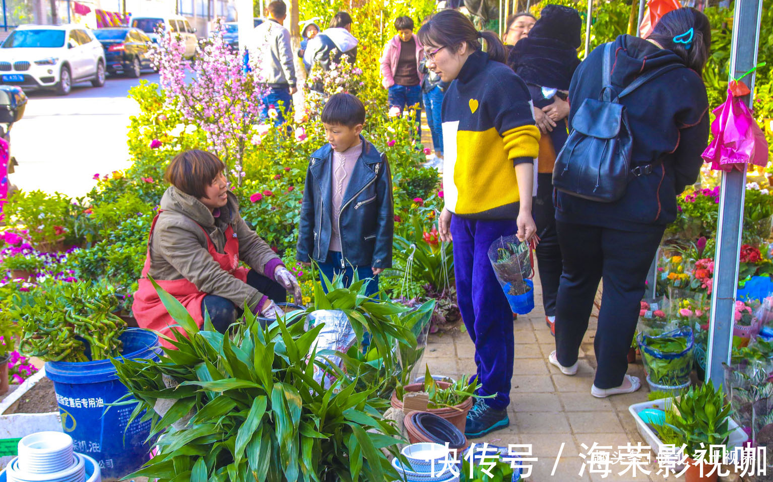 花卉|安徽淮北花卉市场，众多市民购买鲜花，看看你喜欢什么花卉