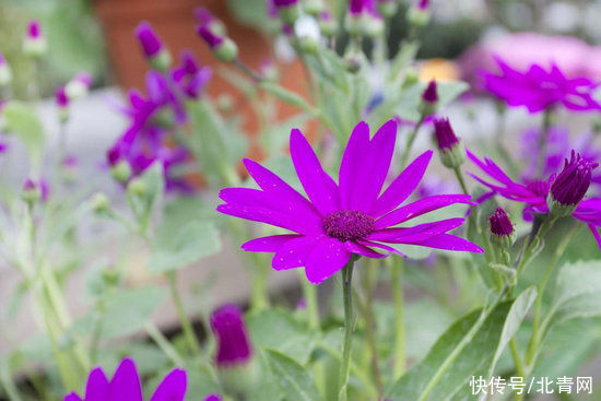 春季养生这样做“春捂”需依据个人体质