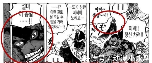 九侠|海贼王991话分析分析:杰克的象牙被打断,凯多的巨龙嘴巴被弄伤