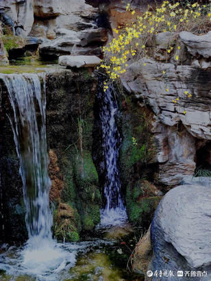 闽侯县|就地过年春在身边｜济南趵突泉春意浓，迎春花开泉水淙淙