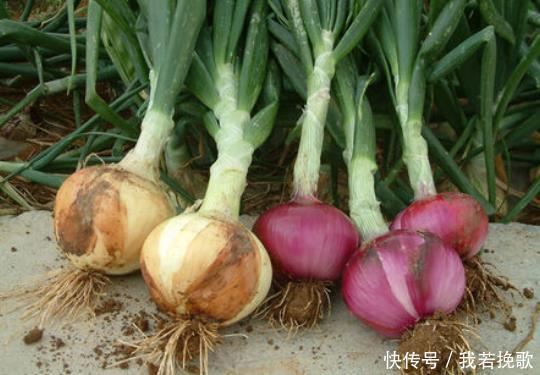 别着急|甘油三酯高升不降别着急,多吃1酸、少做3事,血脂想不降都难