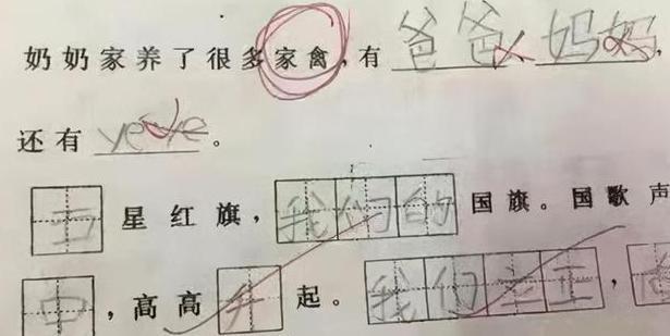 张女士|小学生写妈妈,老师改作业时笑的脸疼,妈妈被黑得体无完肤