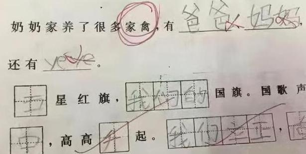 张女士|小学生写妈妈，老师改作业时笑的脸疼，妈妈被黑得体无完肤