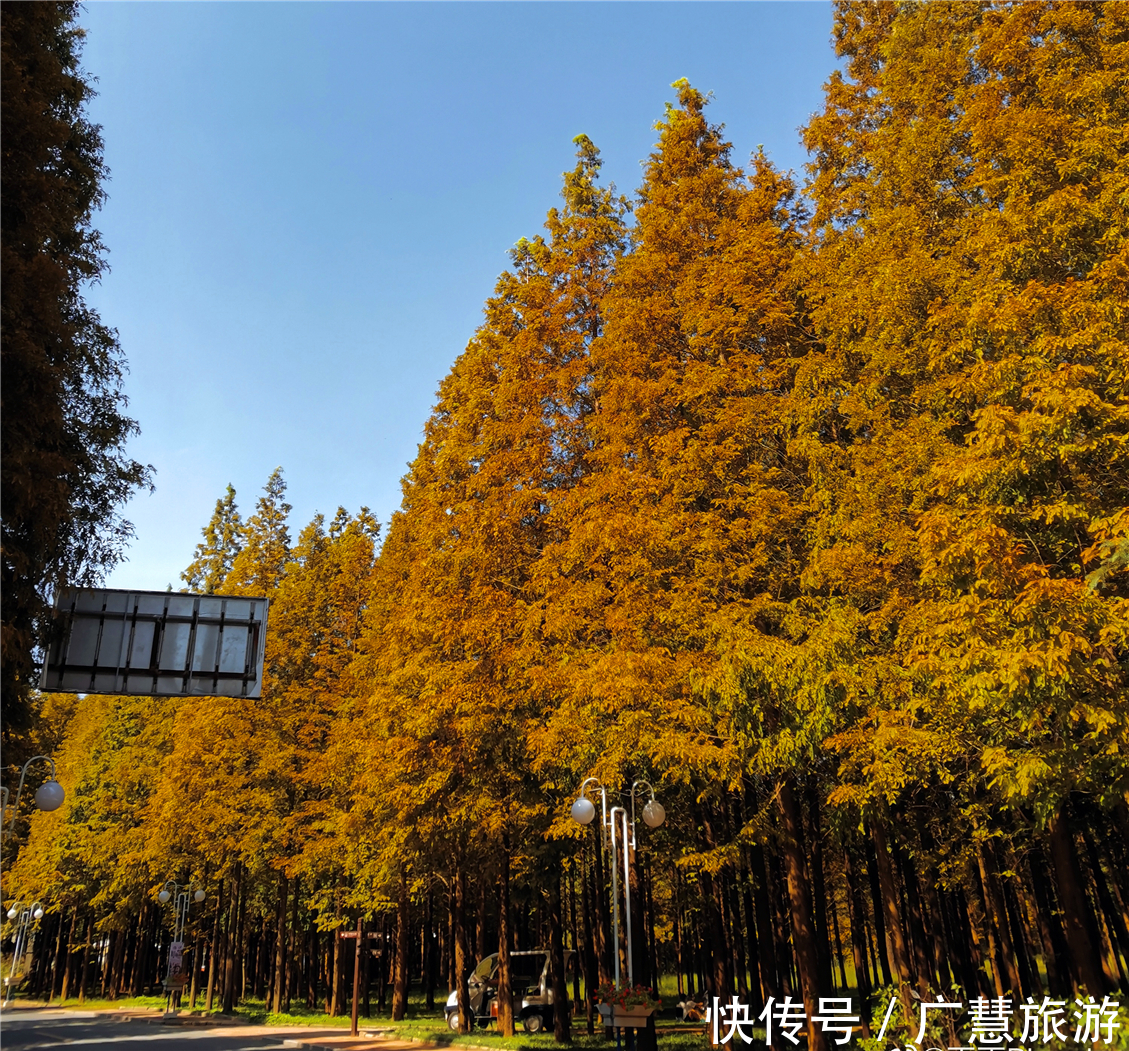 日照三个免费海水浴场的正确开启方式，这份周密的攻略看了有用