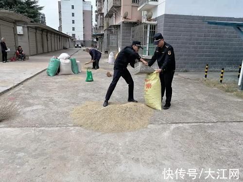 大江网|南昌高新区执法大队情系群众 热心帮助老人抢收稻谷