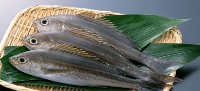 补充营养|怀孕吃鱼好处多多,但这四种鱼类最好别吃,对胎宝宝有害无益