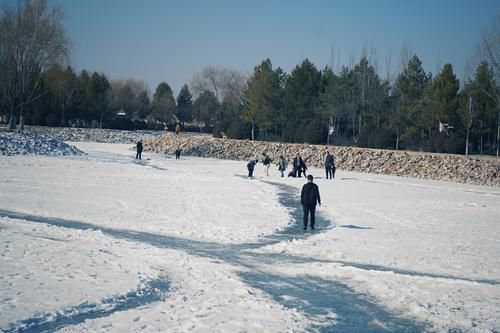 陕北沙漠中修公园，还是“森林公园”，绕一圈9公里，冬天可滑冰