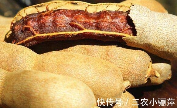 农村|农村树上生长的一种野果,刚开始以为是花生,其实比花生营养更高