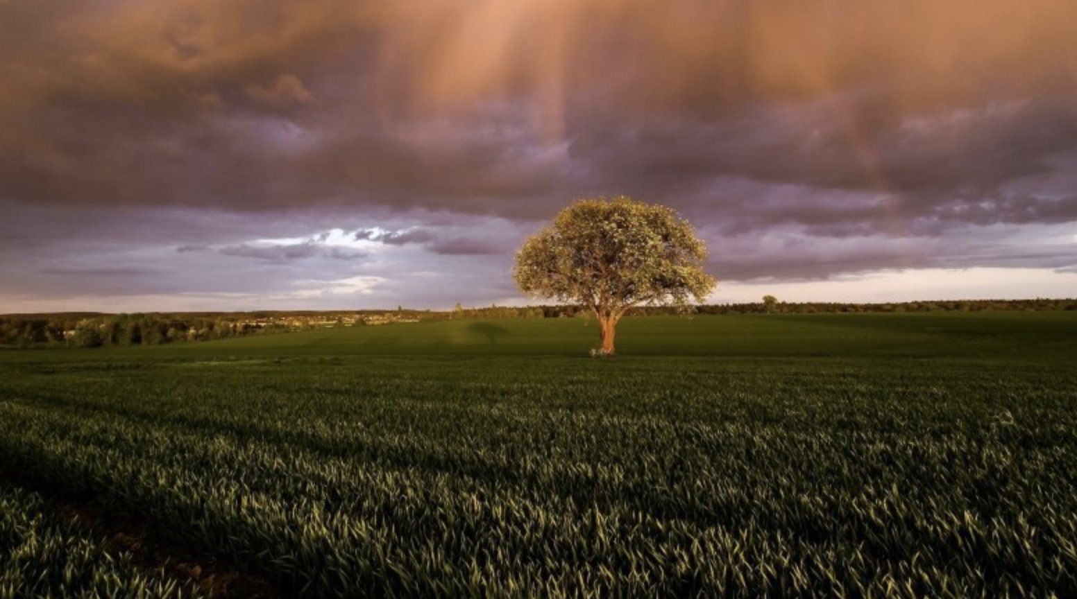 苦与累|独善其身,活出了大格局的星座,看似没有主见,实则活得通透睿智