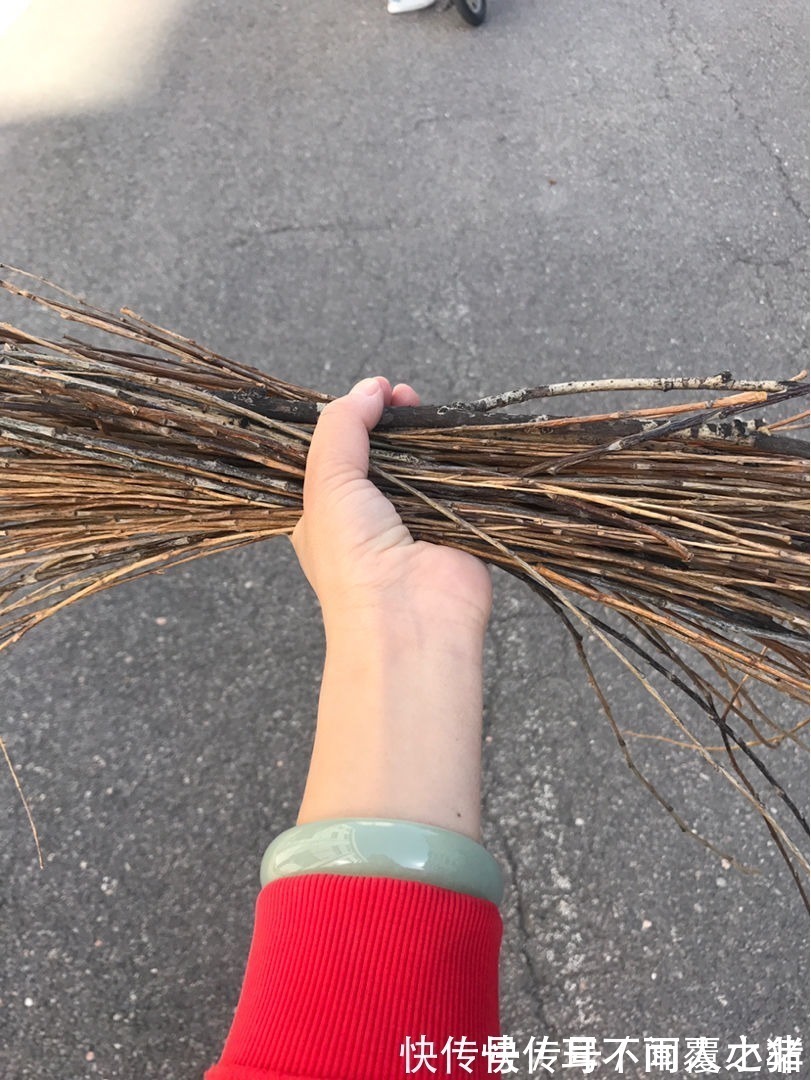 木炭|花盆里垫点小东西,大大增加透气性,养花不烂根!