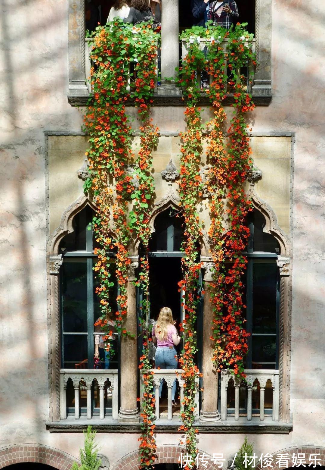 姜荷花|大爷养的“荷花”，窜的房顶高，垂下来变成花瀑布！