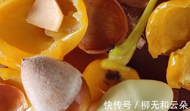 白果仁|鸡汤鲜美可口,酒香微微,鸡肉耙烂,糯软不柴,喝汤吃肉两相宜!