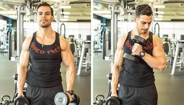 肱三头肌|我们肱二头肌围度迟迟不能突破?你可能忽略了这些!