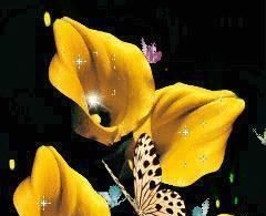 人心$良言20句,见证人心,看透人性看一次胜读十年书