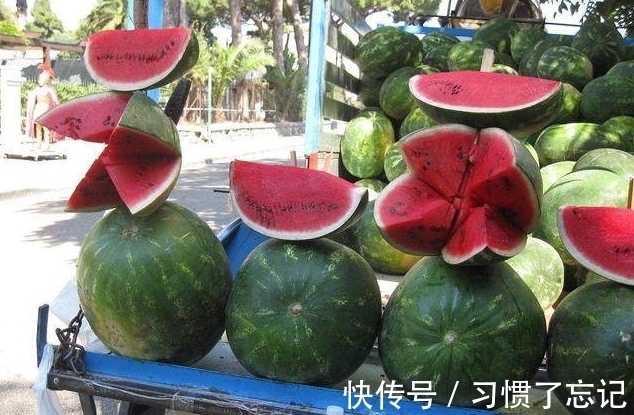 历朝历代@少女一上联:“洗青菜,去黄叶,不要先生”,下联千古绝对