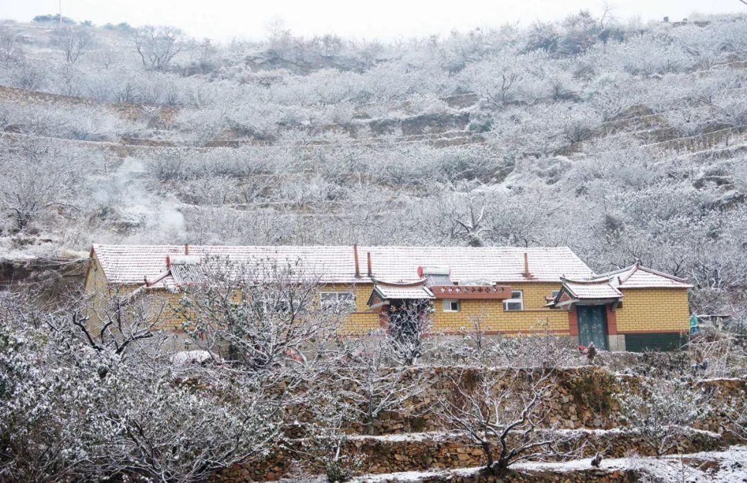 冬雪|静美如初！在冬雪里重遇海阳