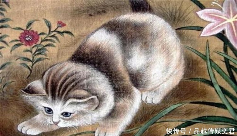 《西游记》那么多妖魔,为何却没有猫妖?你看猫的后台是谁?