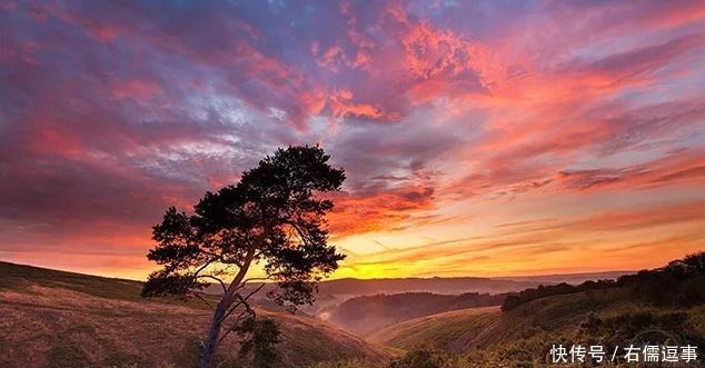 人,越孤独,越优秀