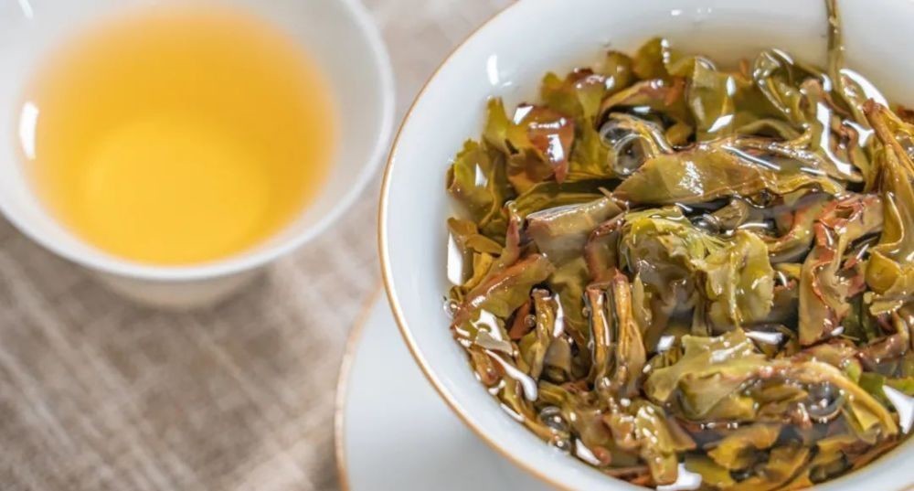 乌龙茶|高山漳平水仙,非遗传承人让你体验“乌龙茶小姐”的风韵