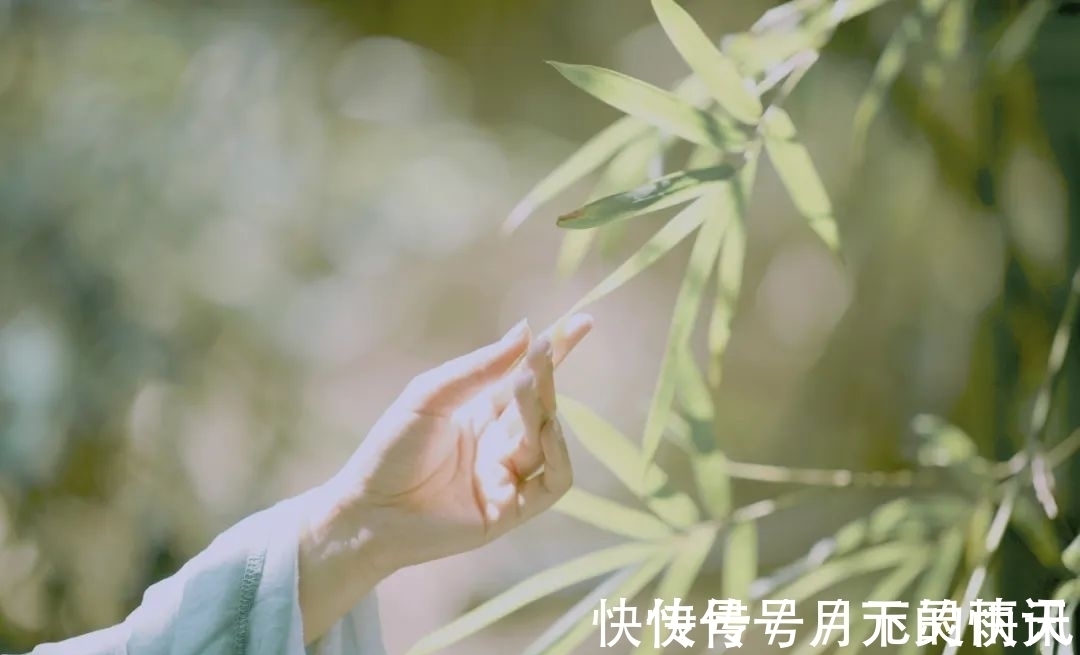 花悲#李清照最“懒”的诗，一个“花”重复17次，却写尽了一生，绝了！