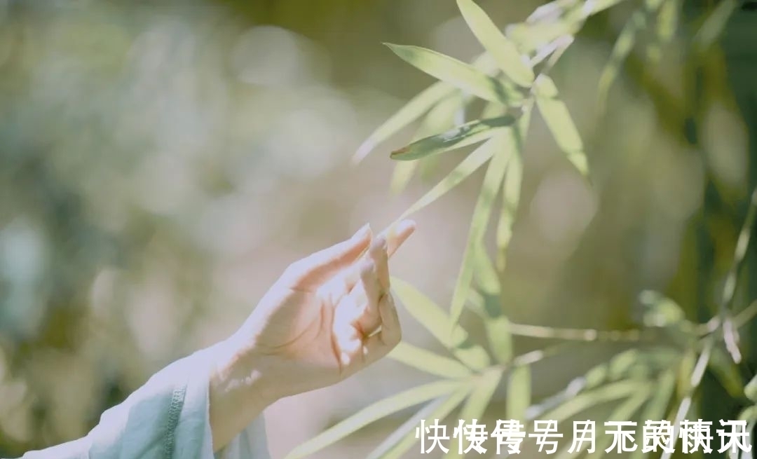 花悲#李清照最“懒”的诗,一个“花”重复17次,却写尽了一生,绝了!