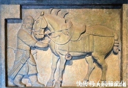 曹操#中国历史上的6匹名马,除了赤兔马,其余的5匹你都知道么