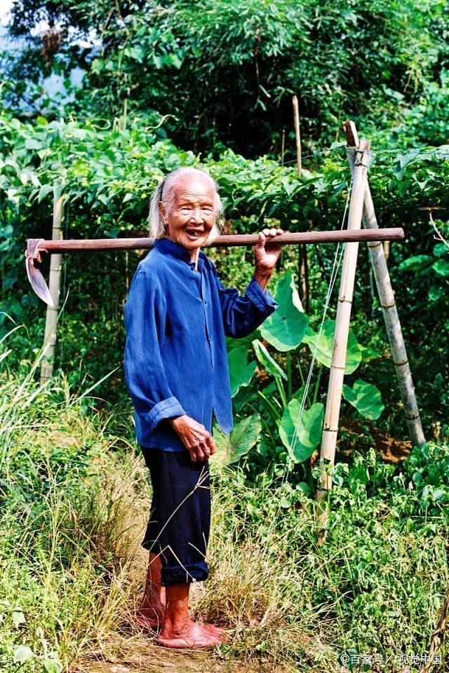 老人|老人告诉我们四十不多欲,五十不多情,但接下来的5个字更重要