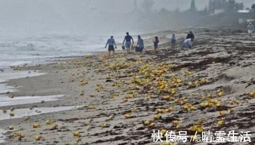 咖喱|有人在海边捡到钻石,更有人在海边捡到红宝石戒指