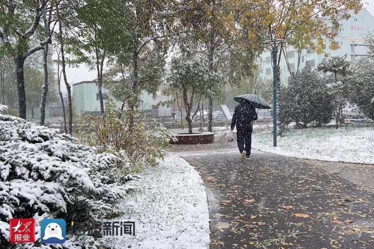 雪景|立冬至瑞雪来 滨州各县市区换素颜