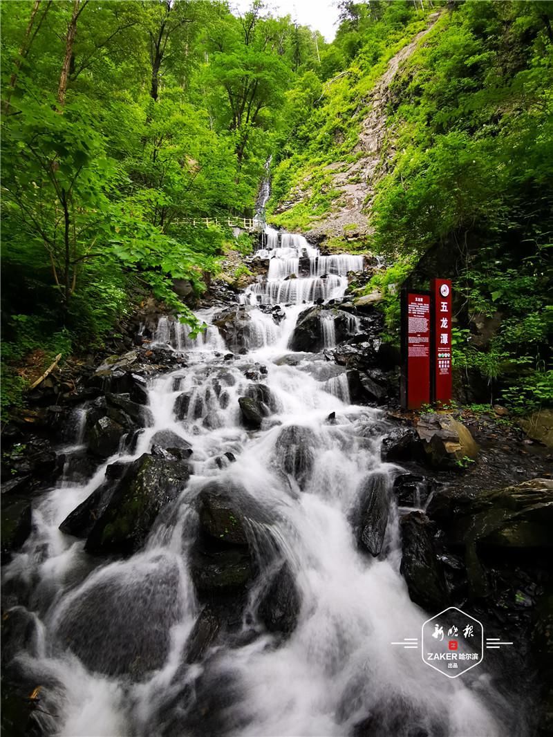 李春波|凤凰山空中花园此时是什么风景？这里有图有真相……