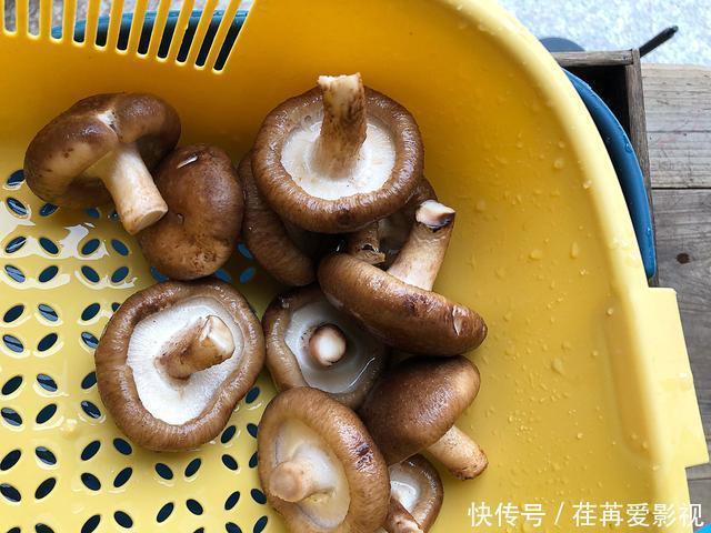 香菇用清水洗,还不如不洗,教你一招,脏物虫卵洗干净,吃得放心