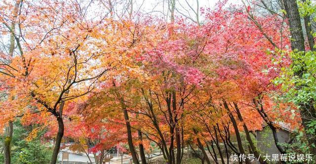 值得|西北最值得去的景区，是“沙漠中的绿洲”，古代修仙的人都住在这