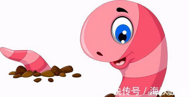 钓鱼用不完的蚯蚓,可以这样保存,都不用花钱再买了