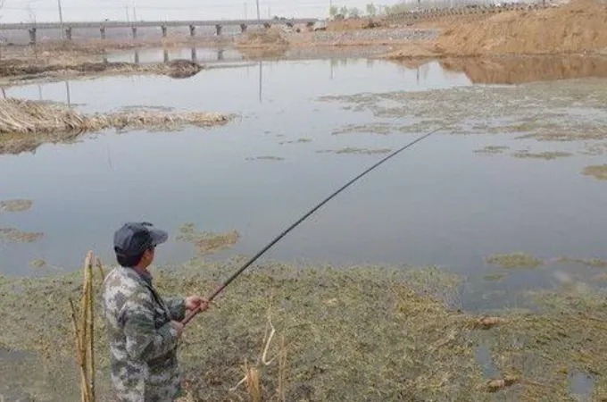 不得不承认:冷天只要有了这“钓法”,大板鲫连竿不在话下!