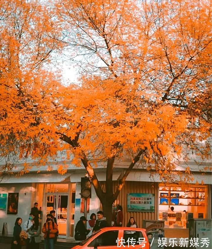 石家庄|张留白的“抗癌日记”:陪我走完2021,不说加油,只说爱你