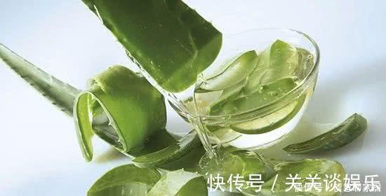 招财树|不管你养不养花,3种花,总要养1盆,能缓解疲劳,还能杀病菌