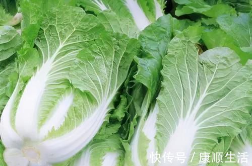 铁苋菜|人到中年，不妨多吃3种食物，滋肝明目、推迟衰老，谁吃谁健康