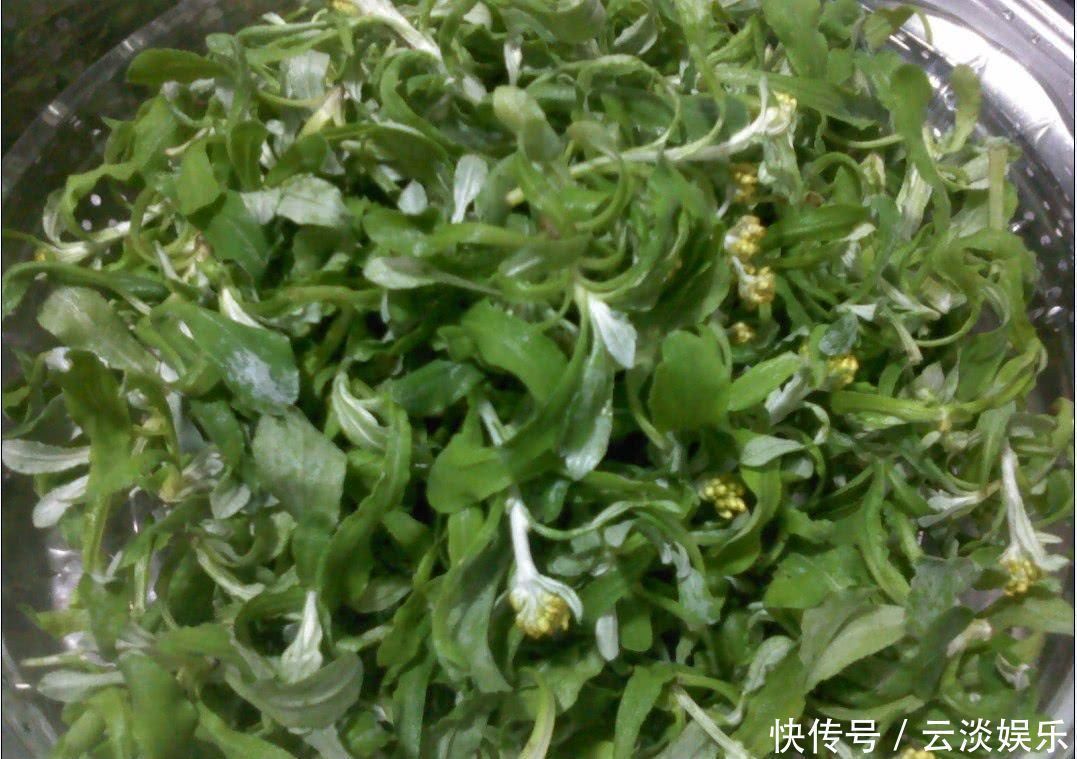 清明|别看它不起眼, 却是天然“降压药”, 经常吃一点, 血压轻松降下来