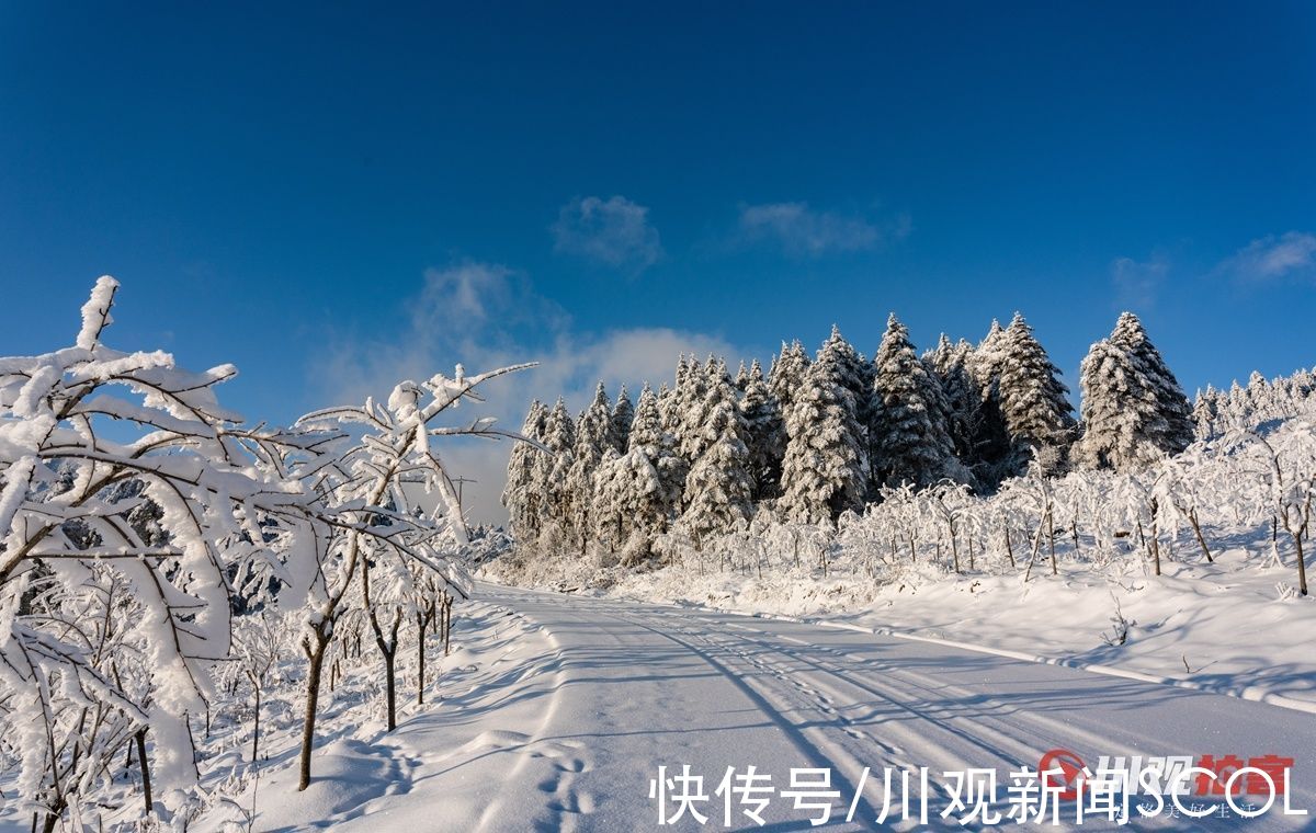 周建军|高清美图！雪后日出的大瓦山宛若仙境