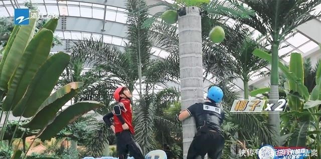 “跑男”迎来最弱男嘉宾，胆子比宋祖儿还小，让黄龄遭遇咸猪手