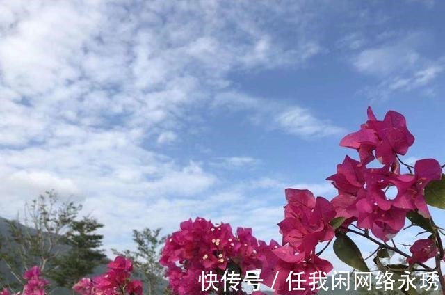 乐多#寒冬居家感吟,祈福人间皆安(诗八首)