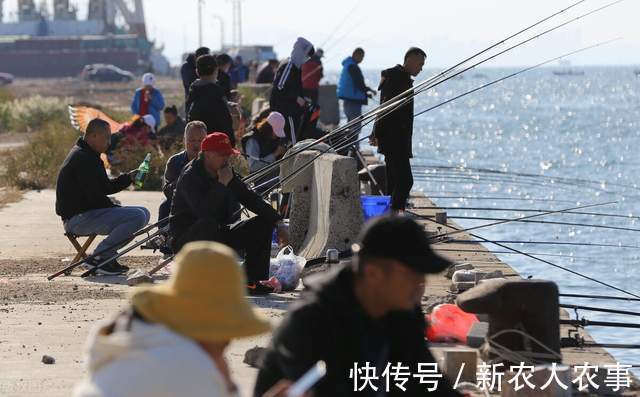 湖北一男子罕见钓获大鱼,发网上炫耀摊上事了,网友:可狱不可囚