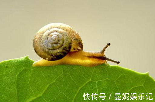 养花技巧:醋、橘子皮、小苏打用来养花,好处多!