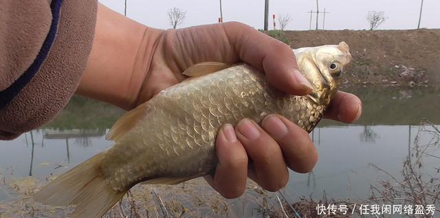 才发现,春季钓鱼人的天敌并不是电鱼的,而是他们