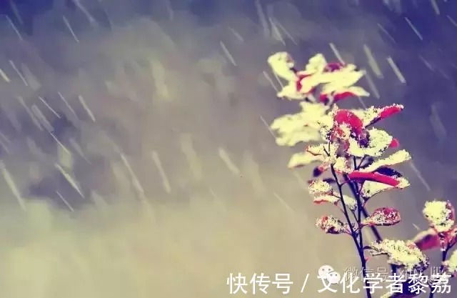 黛玉@红楼梦中人