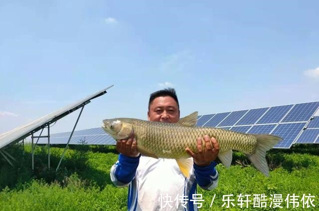 如何选择一款轻便的鱼竿国货当自强,这才是真正的好而不贵